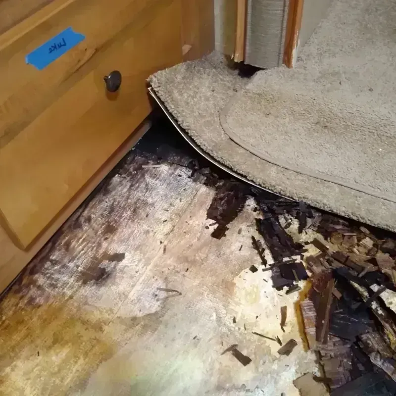 Best Wood Floor Water Damage Service in North Muskegon, MI